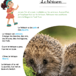 Mini kit d'activités : Le hérisson
