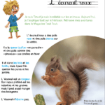Mini kit d'activités : L'écureuil roux