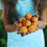 5 Astuces pour Faire Manger des Légumes aux Enfants