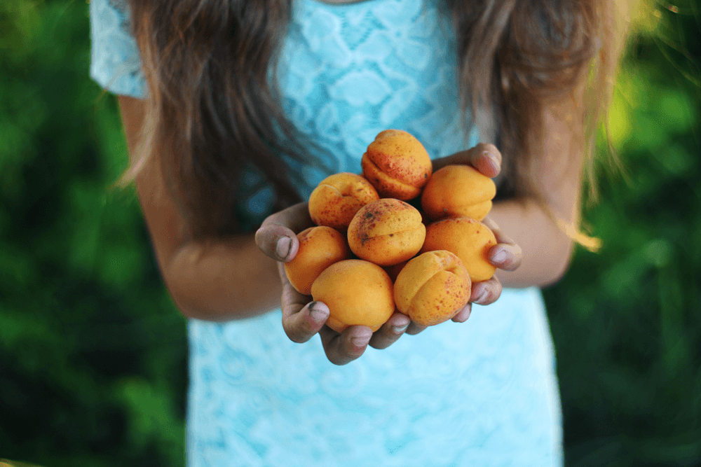 5 Astuces pour Faire Manger des Légumes aux Enfants