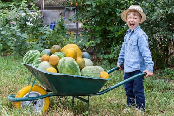 Créer un potager avec son enfant