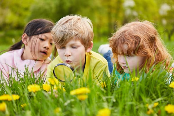 Enfants dans la nature