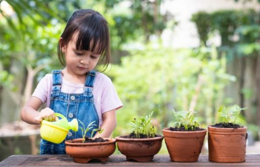 Enfant qui arrose les plantes