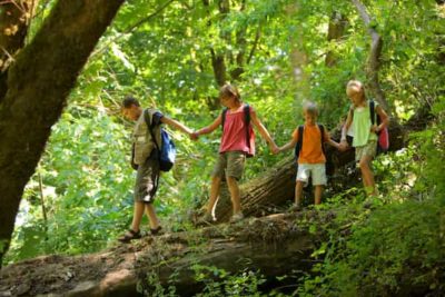 Enfants dans la forêt