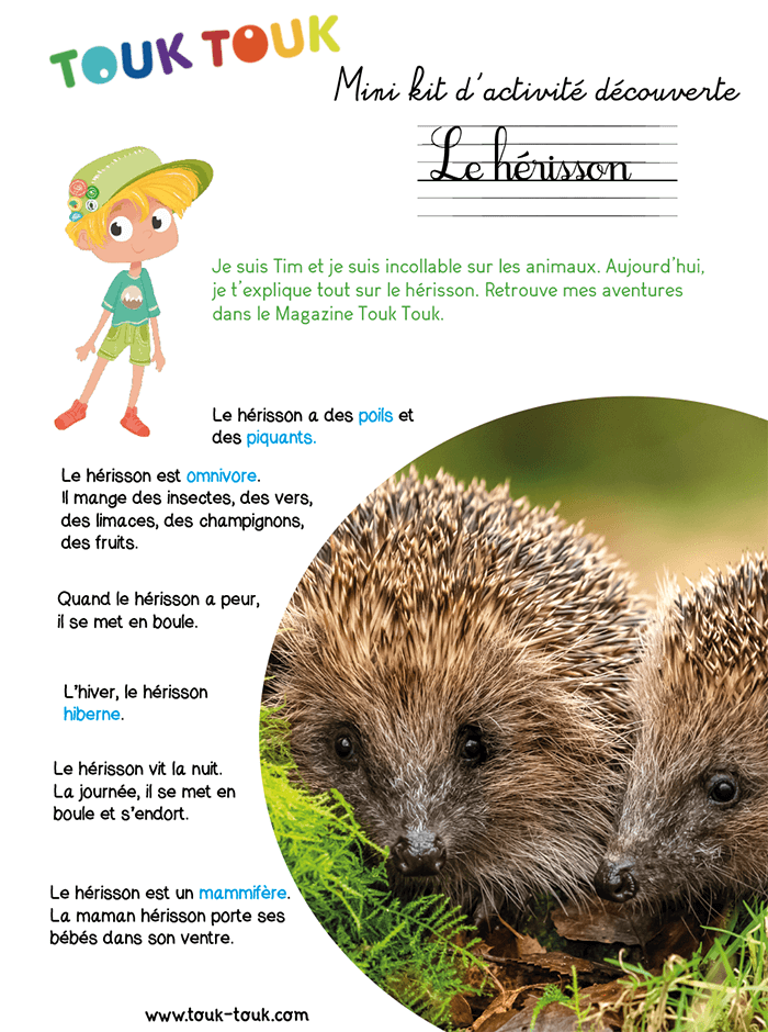Kit d'activité hérisson