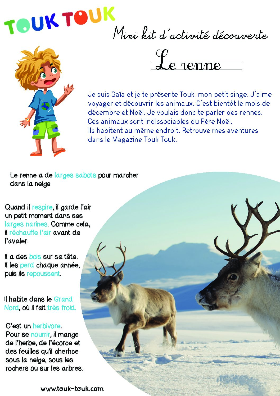 Mini kit d'activités : Renne
