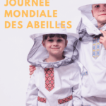 Mini kit d'activités : Abeille
