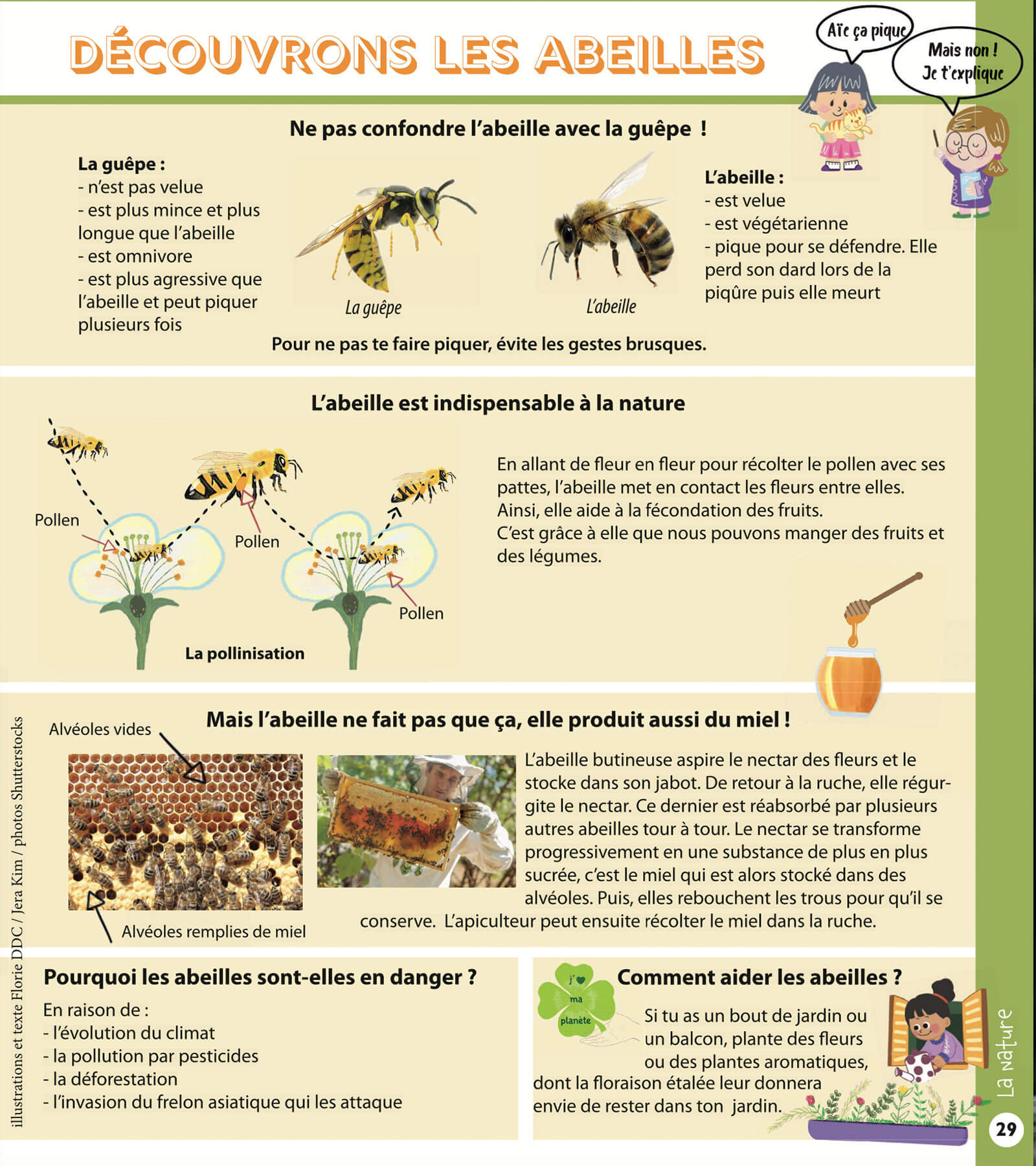 Page abeilles