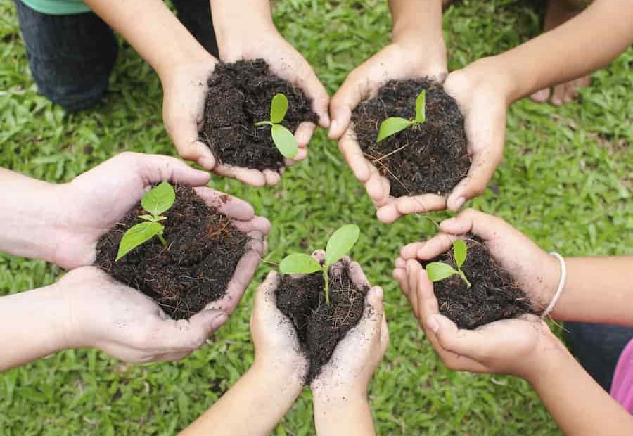 Apprendre le jardinage en famille