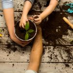 Apprendre le Jardinage aux Enfants : 9 bienfaits