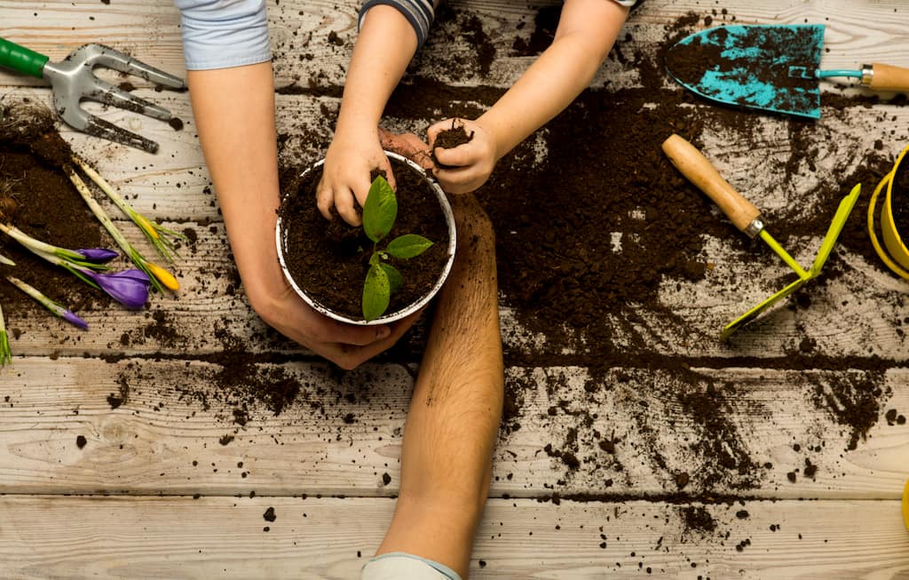 Kit d'outils de jardinage - Tout le nécessaire pour jardiner