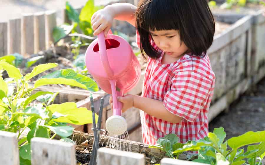 Jeux pour enfants sur la nature : le potager