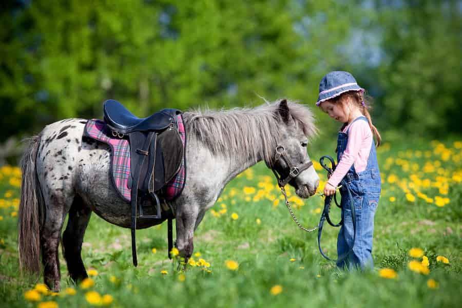 Les ateliers pour enfants à Orléans et environs