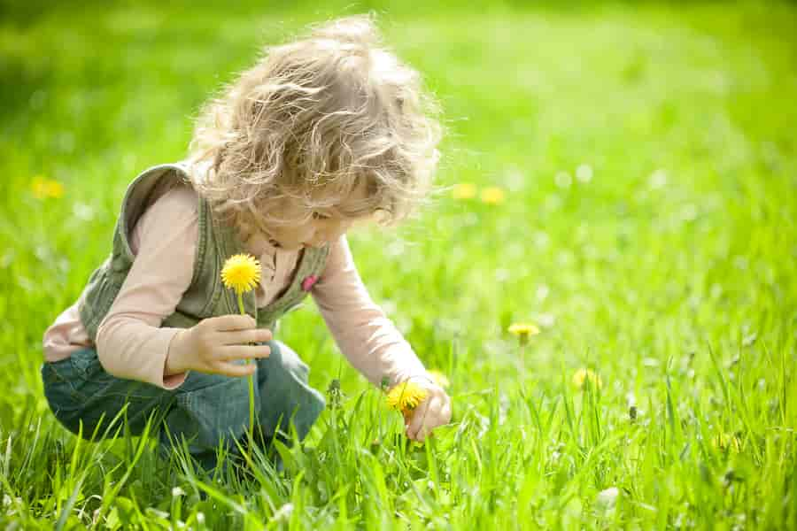 La nature pour les enfants. Comment réaliser un joli herbier ?