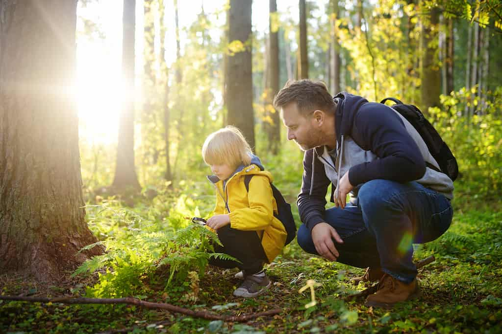 Observer la nature avec les enfants