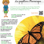 Mini kit d'activités : Le papillon Monarque